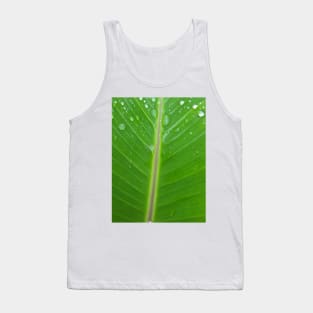 Green banana leaf vein with raindrops Tank Top